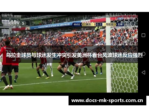 乌拉圭球员与球迷发生冲突引发美洲杯看台风波球迷反应强烈